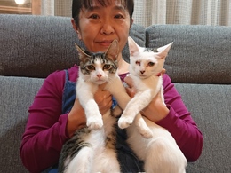 愛すべき猫たち