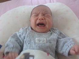 THE AMAZING BABY  Part2