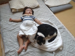 気温の変動にご用心